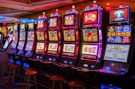 Tampilan Paito Harian di kadal4d menampilkan tabel data historis hasil permainan dengan format yang terstruktur